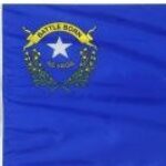 Group logo of Nevada State FOLU Group